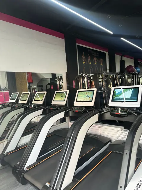 Fit4Muscle inicios 8